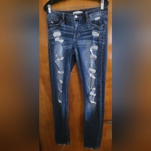 DAYTRIP  Jeans   Lynx  Skinny  29R